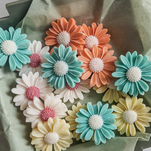 Boîte de fondants parfumés - Daisy Flowers